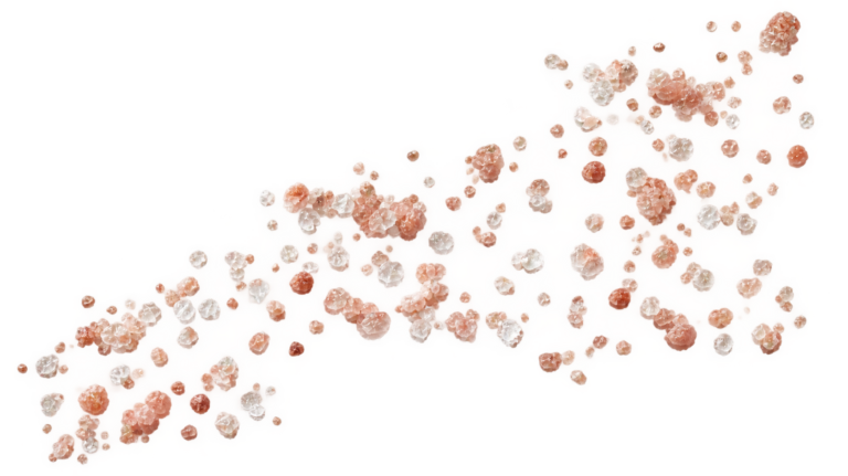 sea salt 2